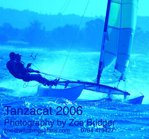 0-Tanzacat-ZoeBridger
